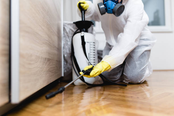 Best Flea Control Services  in Beacon Square, FL