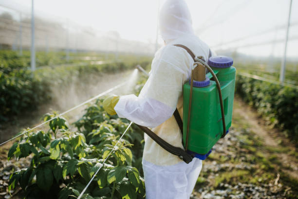 Best Best Pest Control Companies  in Beacon Square, FL